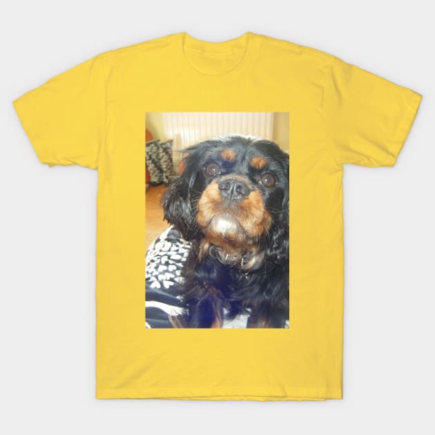 cavalier king charles spaniel black and tan third T-Shirt by Wanderingangel